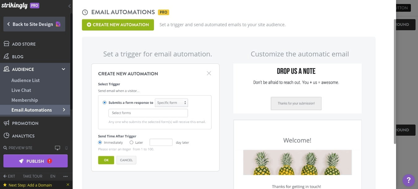 null failing-to-create-an-email-list